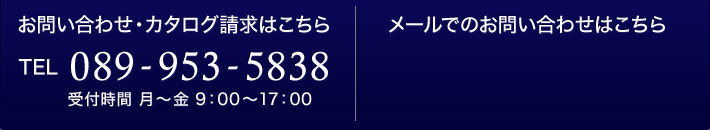 電話番号089-953-5838