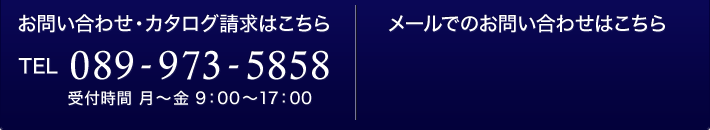 電話番号089-973-5858